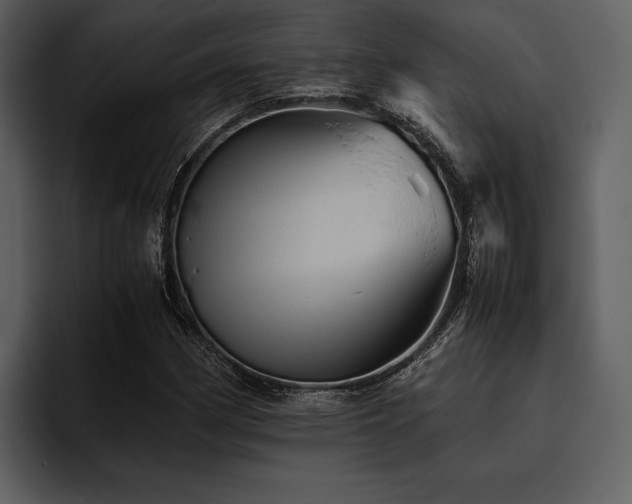 X0000095941162200801111324