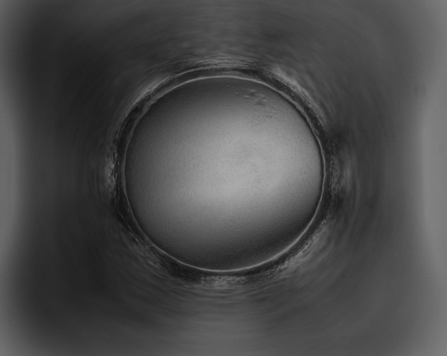 X0000095941163200801111324