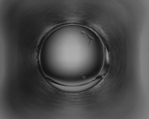 X0000095941164200801111324