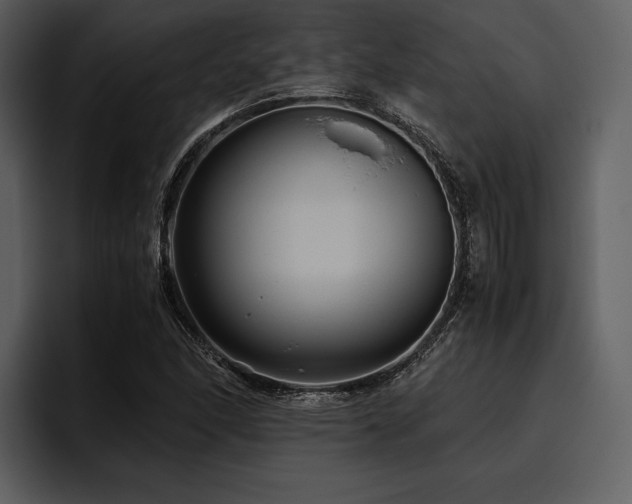 X0000095941166200801111324