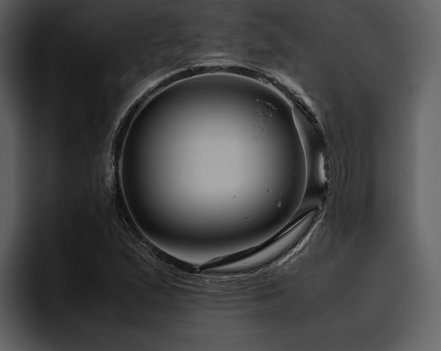 X0000095941167200801111324