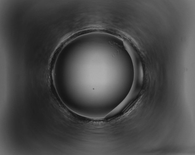 X0000095941168200801111324