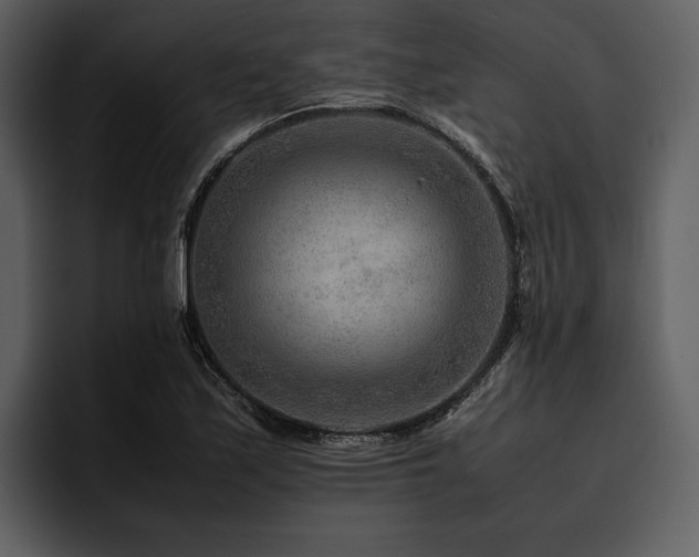 X0000095941171200801111324