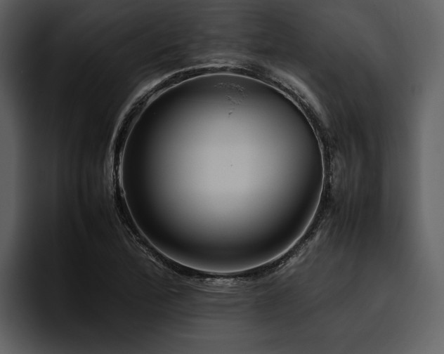 X0000095941172200801111324