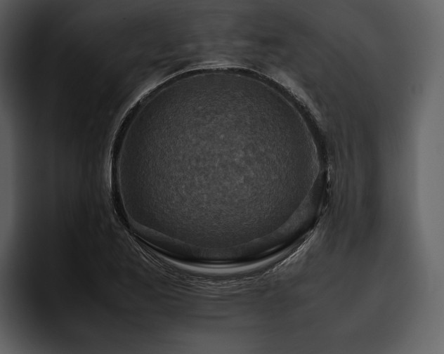 X0000095941173200801111324