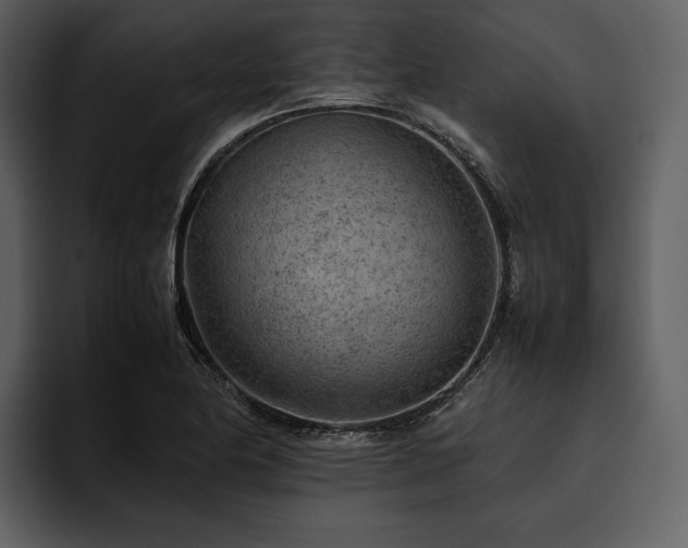 X0000095941174200801111324