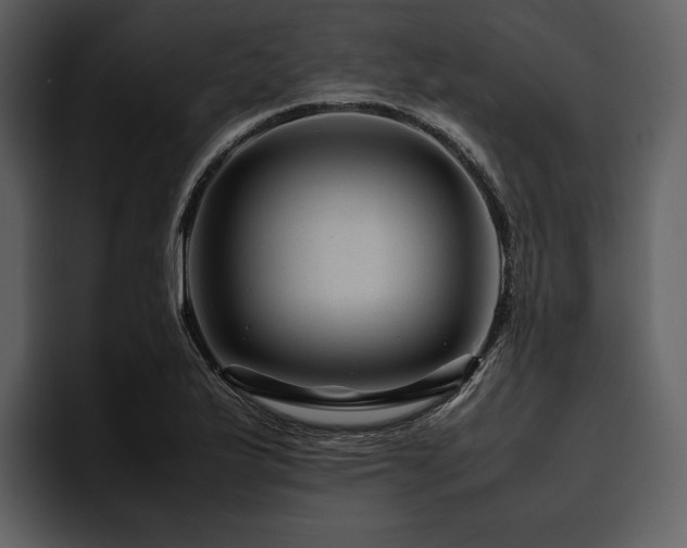 X0000095941175200801111324