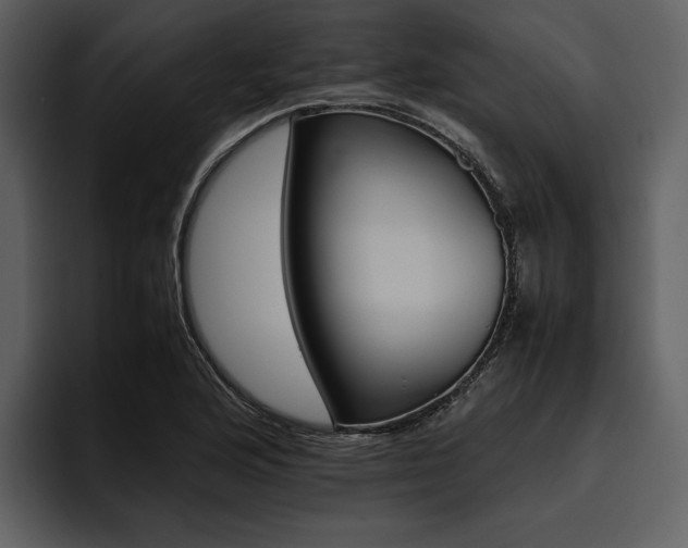 X0000095941176200801111324