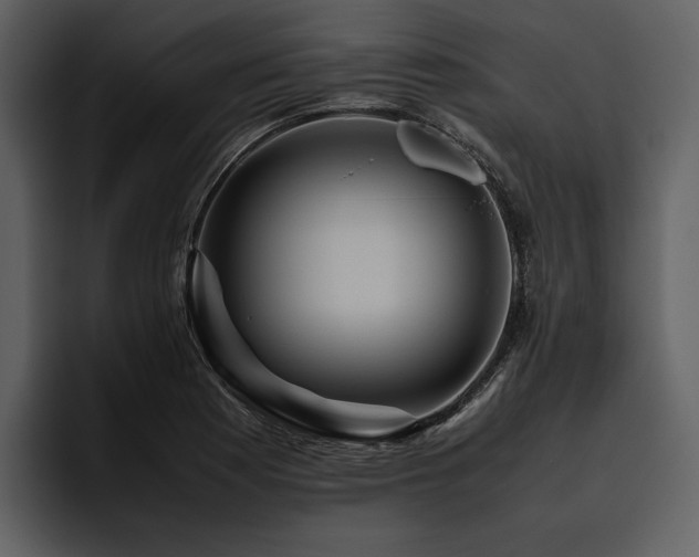X0000095941177200801111324