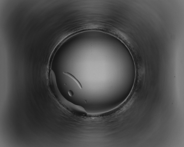 X0000095941178200801111324