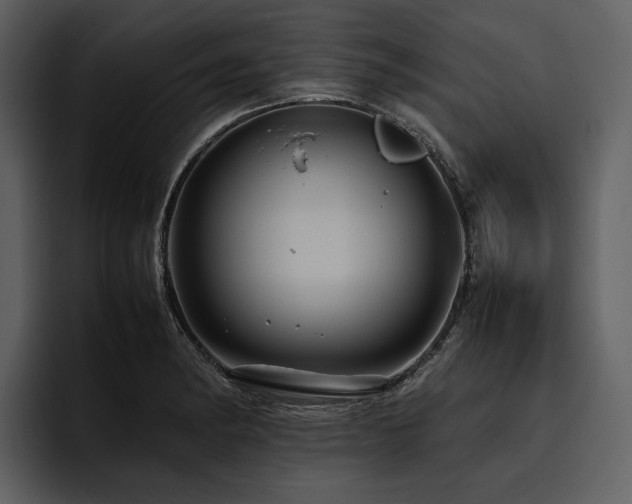 X0000095941182200801111324
