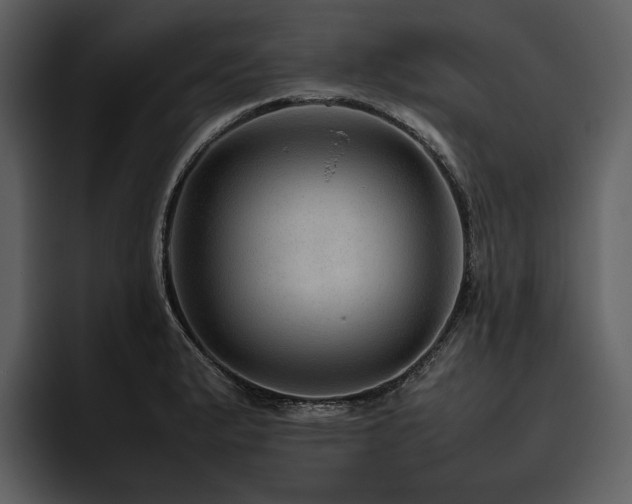 X0000095941183200801111324
