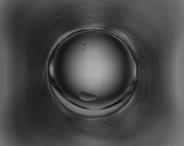 X0000095941184200801111324