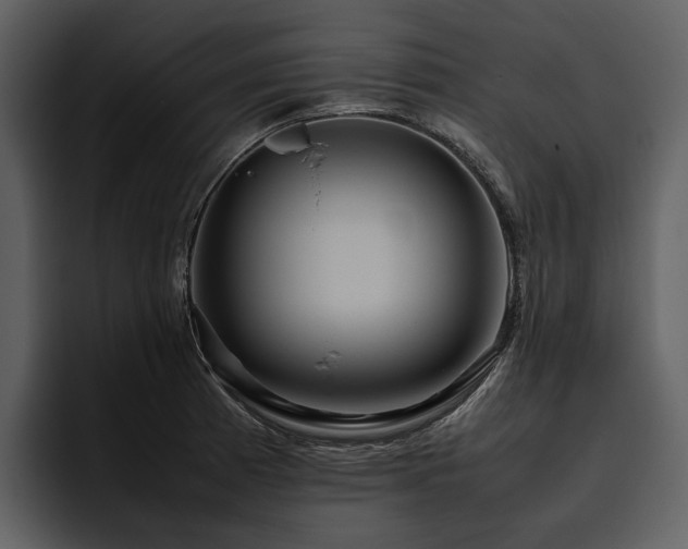 X0000095941185200801111324