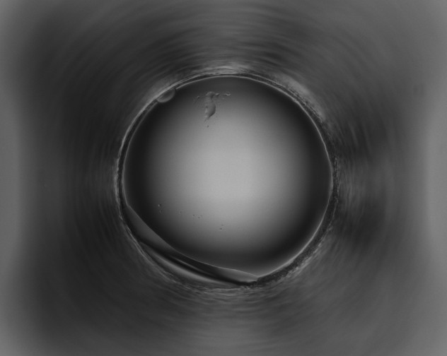 X0000095941186200801111324