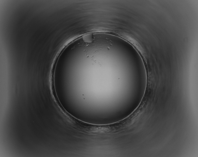 X0000095941187200801111324