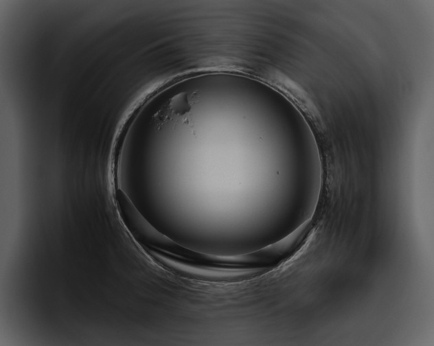 X0000095941188200801111324