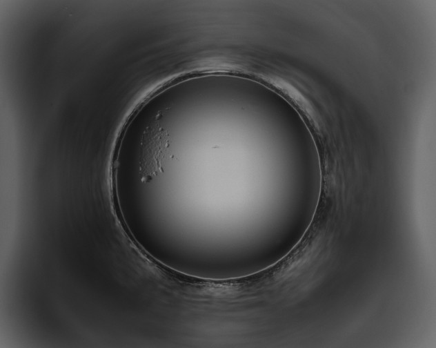 X0000095941191200801111324