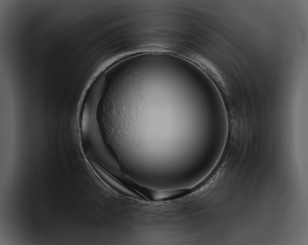 X0000095941192200801111324