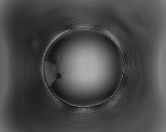X0000095941195200801111324