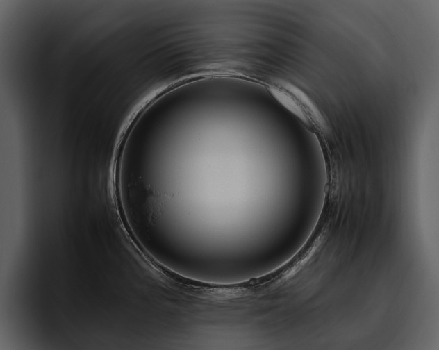 X0000095941196200801111323