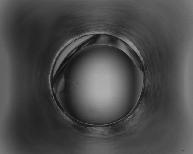 X0000095941197200801111323
