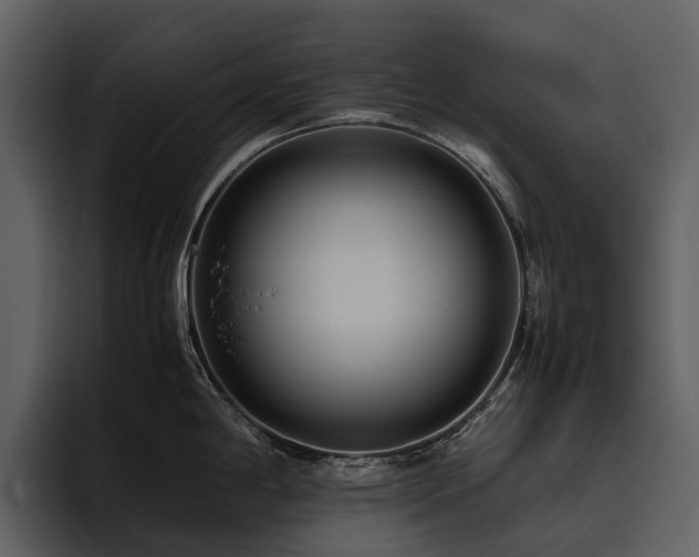 X0000095941198200801111323