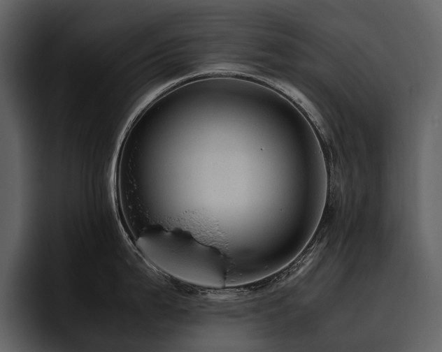 X0000095941199200801111323