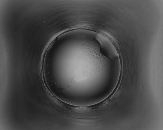 X0000095941200200801111323
