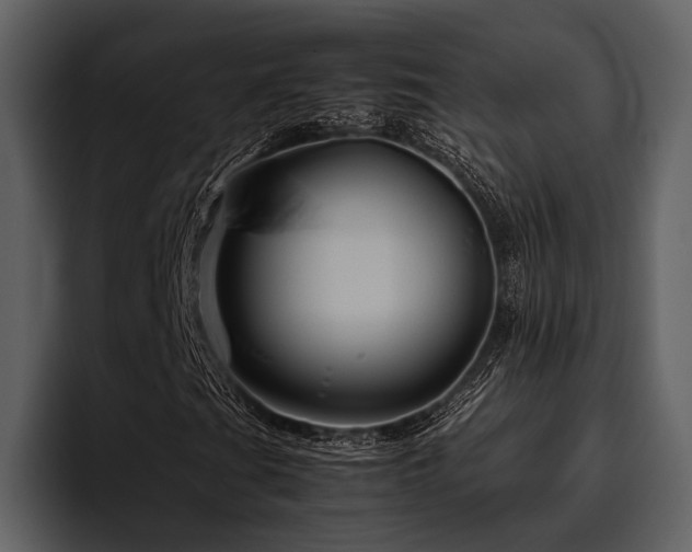 X0000095941201200801111323