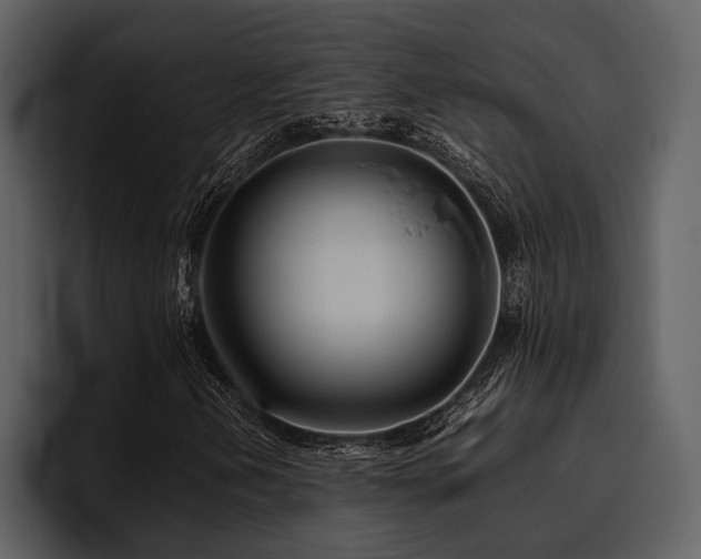 X0000095941202200801111323