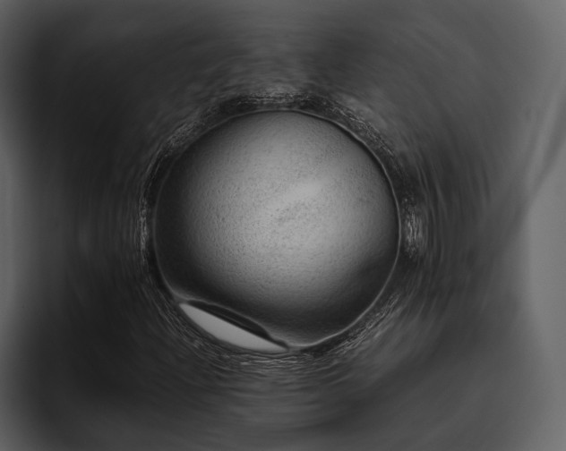 X0000095941204200801111323