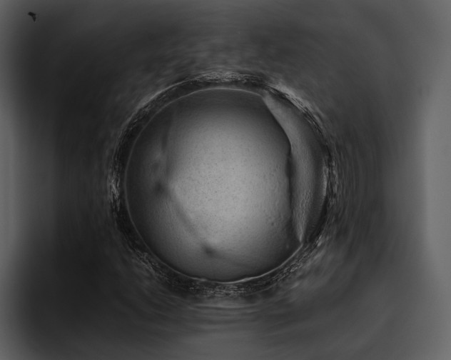 X0000095941206200801111323