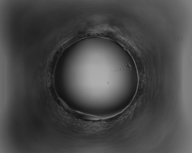 X0000095941207200801111323