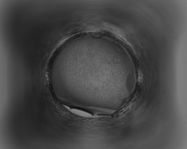 X0000095941208200801111323