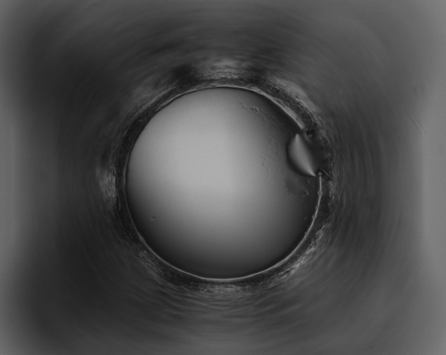 X0000095941209200801111323