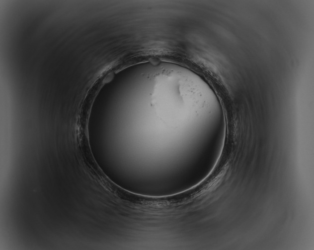 X0000095941210200801111323