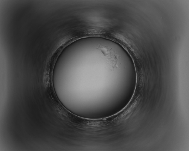 X0000095941211200801111323
