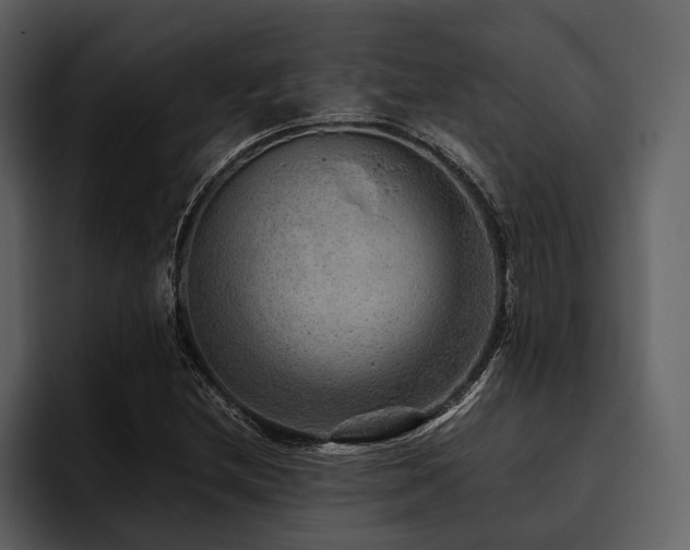 X0000095941212200801111323