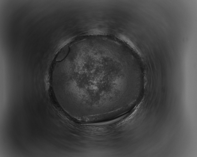 X0000095941213200801111323