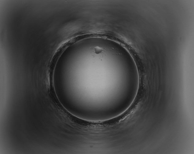 X0000095941214200801111323