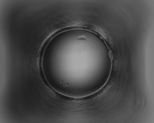 X0000095941216200801111323
