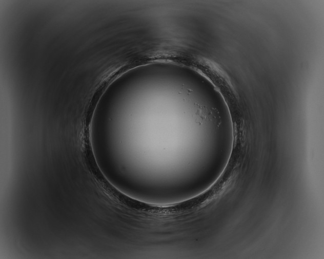 X0000095941217200801111323