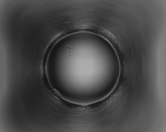 X0000095941218200801111323