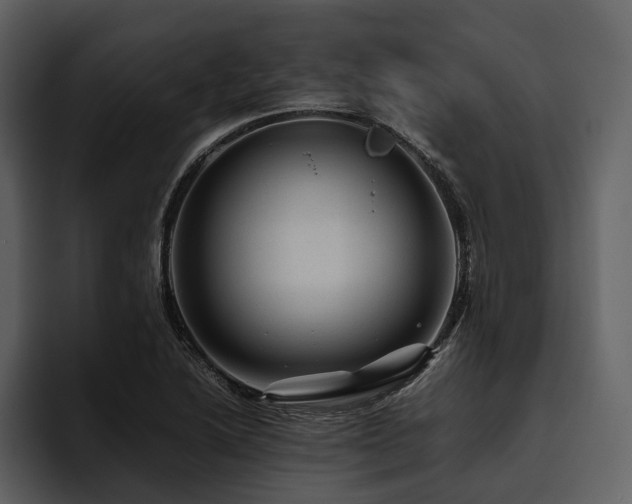 X0000095941222200801111323