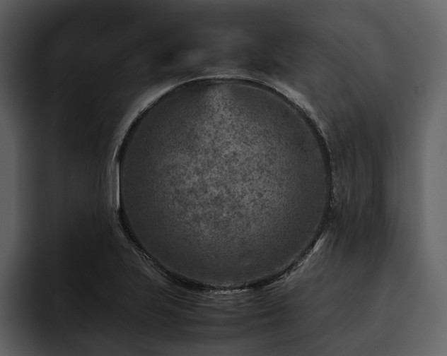 X0000095941223200801111323