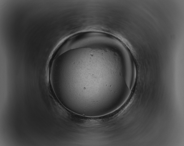 X0000095941224200801111323