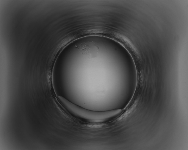 X0000095941225200801111323