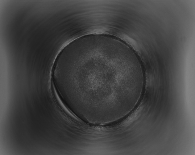 X0000095941226200801111323