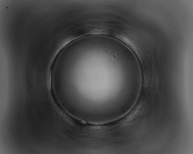 X0000095941227200801111323